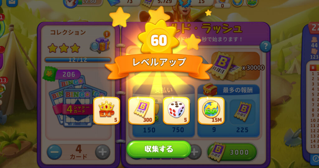 レベル60到達時の証拠画面